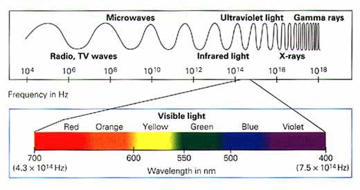 Electromagnetic spectrum is composed of radiation.